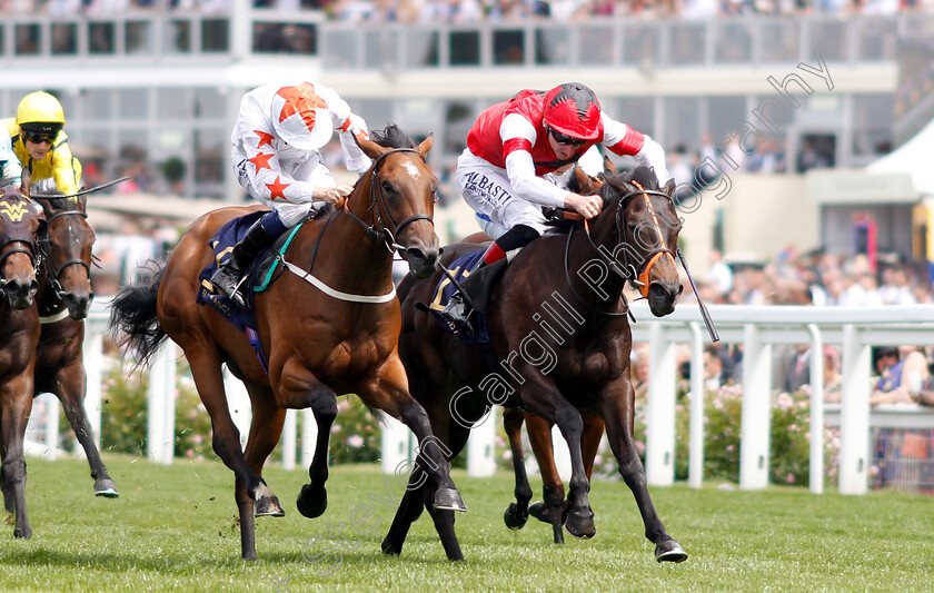 Signora-Cabello-0002 
 SIGNORA CABELLO (left, Oisin Murphy) beats SHADES OF BLUE (right) in The Queen Mary Stakes
Royal Ascot 20 Jun 2018 - Pic Steven Cargill / Racingfotos.com