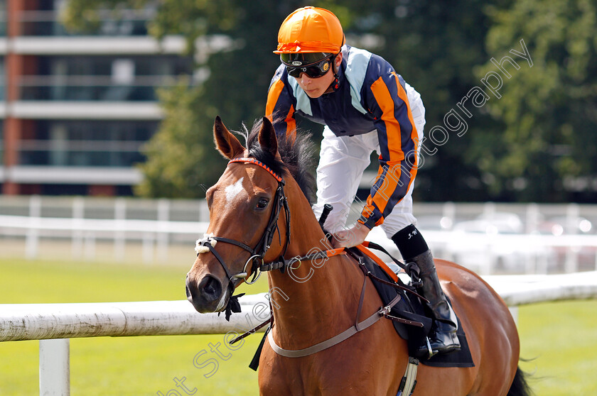 Queen-Of-Clubs-0001 
 QUEEN OF CLUBS (Jason Watson)
Newbury 6 Aug 2019 - Pic Steven Cargill / Racingfotos.com