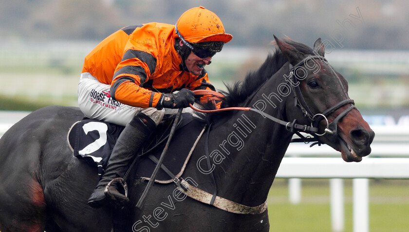 West-Approach-0009 
 WEST APPROACH (Robbie Power) wins The BetVictor Smartcards Handicap Chase
Cheltenham 16 Nov 2019 - Pic Steven Cargill / Racingfotos.com