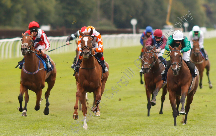 Torochica-0001 
 TOROCHICA (centre, Josephine Gordon) beats LET RIP (right) and TORO DORADO (left) in The Betway Handicap
Lingfield 7 Sep 2020 - Pic Steven Cargill / Racingfotos.com