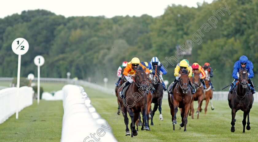 Tinker-Toy-0001 
 TINKER TOY (Jack Mitchell) wins The Every Race Live On Racing TV Novice Stakes Div1
Salisbury 11 Jul 2020 - Pic Steven Cargill / Racingfotos.com