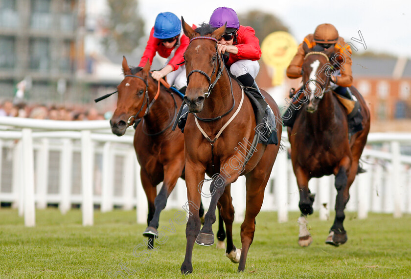 Magnolia-Springs-0004 
 MAGNOLIA SPRINGS (Charles Bishop) wins The Dubai Duty Free Full Of Surprises EBF Stallions Fillies Stakes Newbury 22 Sep 2017 - Pic Steven Cargill / Racingfotos.com