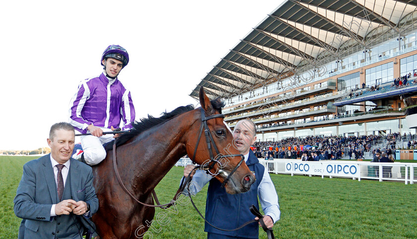 Magical-0010 
 MAGICAL (Donnacha O'Brien) after The Qipco Champion Stakes
Ascot 19 Oct 2019 - Pic Steven Cargill / Racingfotos.com