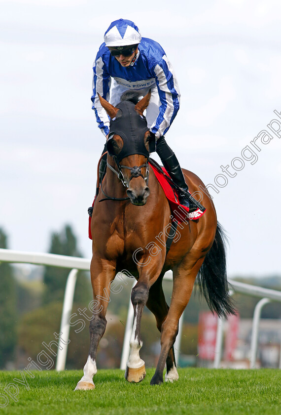 Kitsune-Power-0001 
 KITSUNE POWER (James Doyle)
Sandown 2 Sep 2023 - Pic Steven Cargill / Racingfotos.com