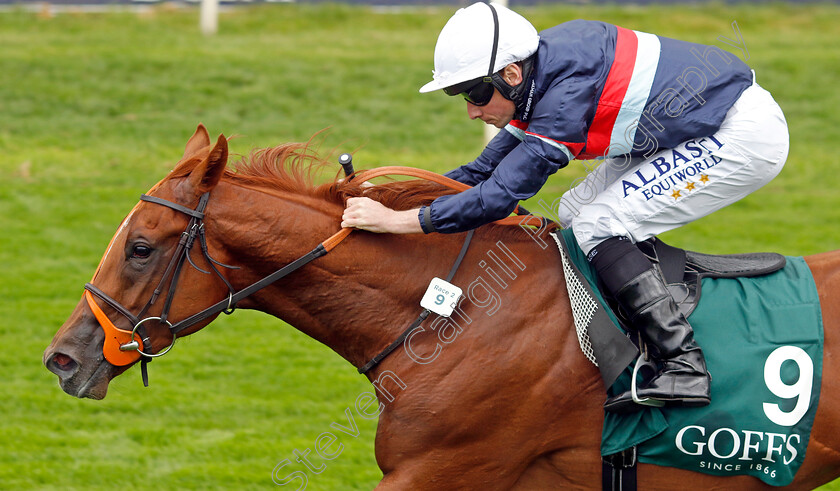 Dragon-Leader-0001 
 DRAGON LEADER (Ryan Moore) wins The Goffs UK Harry Beeby Premier Yearling Stakes
York 24 Aug 2023 - Pic Steven Cargill / Racingfotos.com