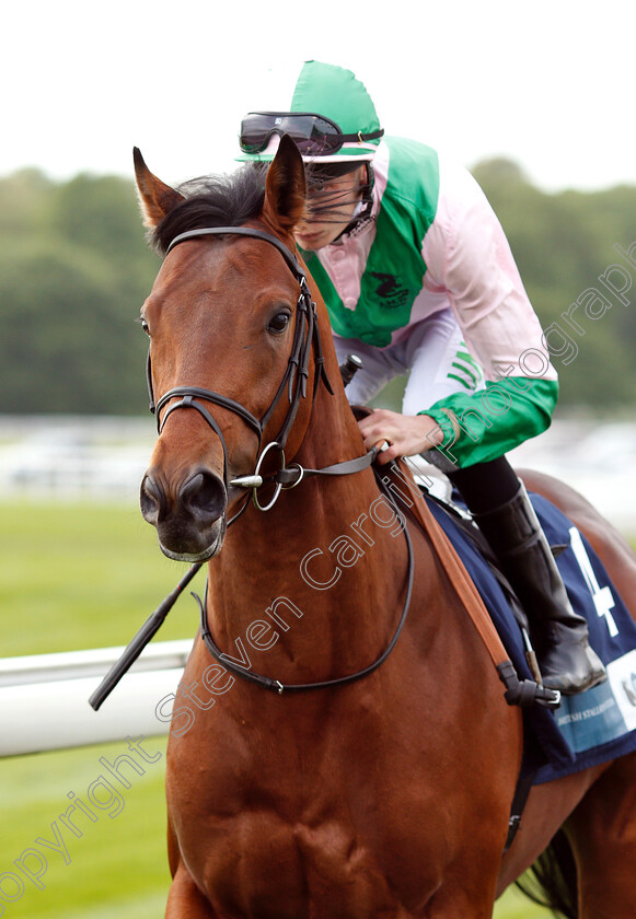 Duke-Of-Hazzard-0001 
 DUKE OF HAZZARD (Luke Morris)
York 16 May 2018 - Pic Steven Cargill / Racingfotos.com