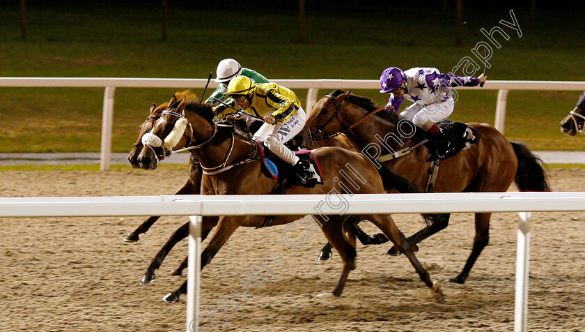 Daddys-Poppit-0001 
 DADDYS POPPIT (farside, Hollie Doyle) beats JUST US TWO (4) in The Gentlemen's Day Here Handicap
Chelmsford 6 Sep 2018 - Pic Steven Cargill / Racingfotos.com