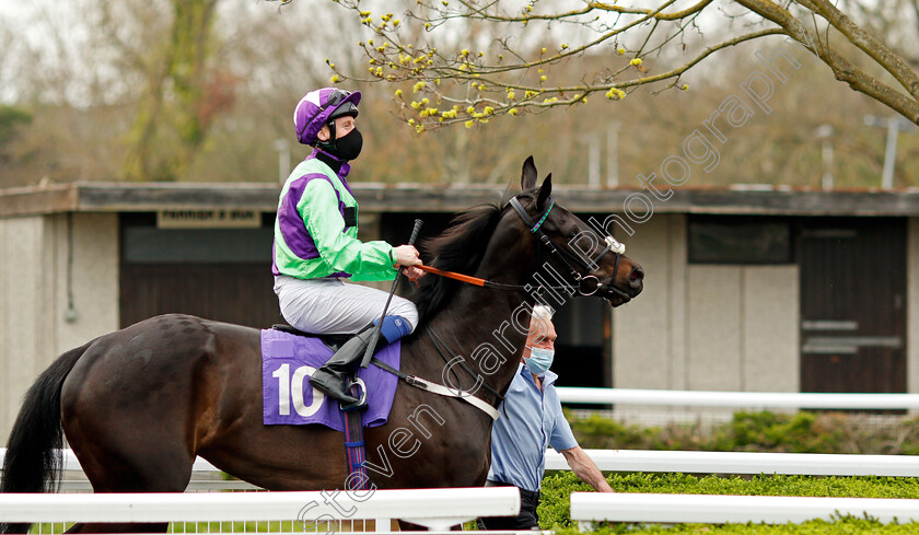 Mrs-Dibble-0001 
 MRS DIBBLE (Martin Dwyer)
Kempton 31 Mar 2021 - Pic Steven Cargill / Racingfotos.com