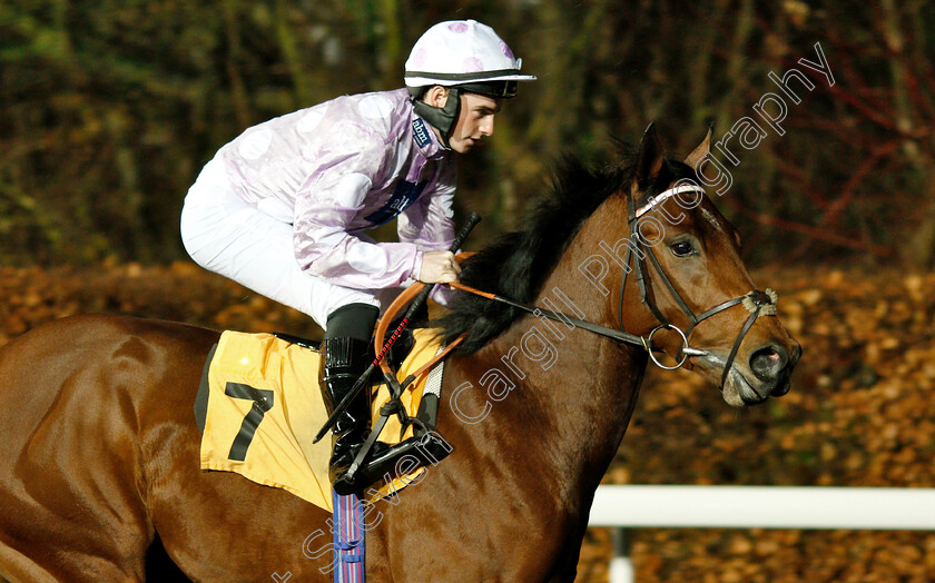 Total-Commitment-0001 
 TOTAL COMMITMENT (Adam McNamara) winner of The 32Red Casino British Stallion Studs EBF Novice Stakes Div2
Kempton 5 Dec 2018 - Pic Steven Cargill / Racingfotos.com