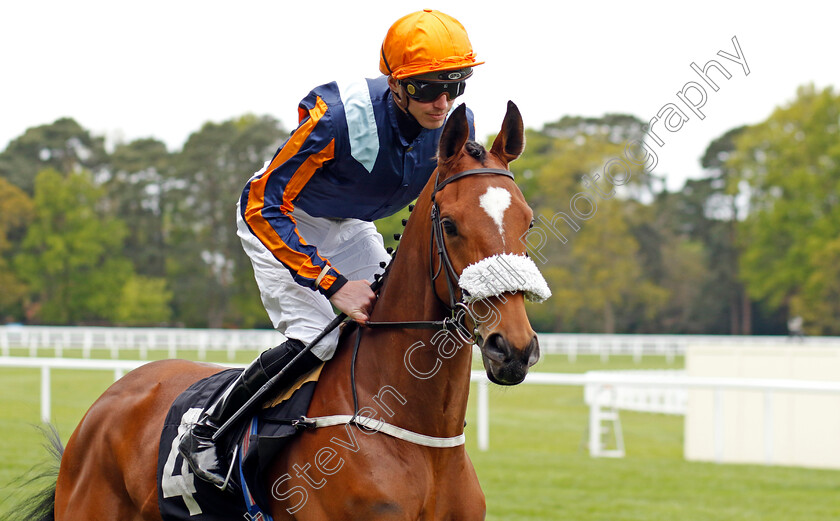 Star-From-Afarhh-0002 
 STAR FROM AFARHH (James Doyle)
Ascot 27 Apr 2022 - Pic Steven Cargill / Racingfotos.com