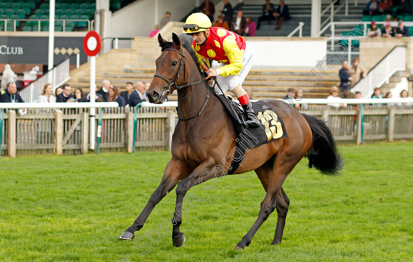 Warren-Hill-0001 
 WARREN HILL (Andrea Atzeni)
Newmarket 29 Oct 2022 - Pic Steven Cargill / Racingfotos.com