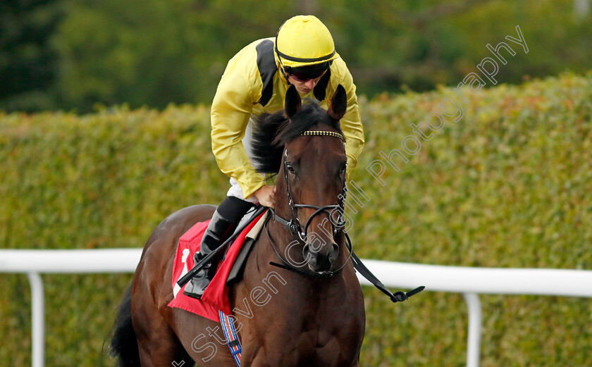 Yaroogh-0008 
 YAROOGH (Tom Marquand) winner of The Unibet British Stallion Studs EBF Novice Stakes
Kempton 7 Aug 2024 - Pic Steven Cargill / Racingfotos.com