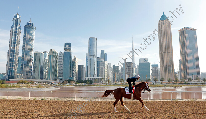 Kabirkhan-0001 
 KABIRKHAN training for The Dubai World Cup at the Al Quoz training track
Meydan Dubai 27 Mar 2024 - Pic Steven Cargill / Racingfotos.com