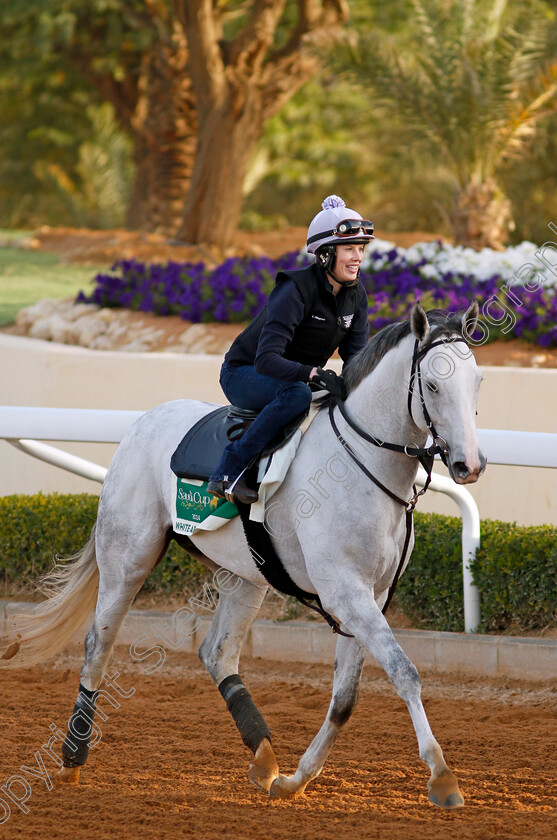 White-Abarrio-0006 
 WHITE ABARRIO training for The Saudi Cup
King Abdulaziz Racecourse, Saudi Arabia 20 Feb 2024 - Pic Steven Cargill / Racingfotos.com