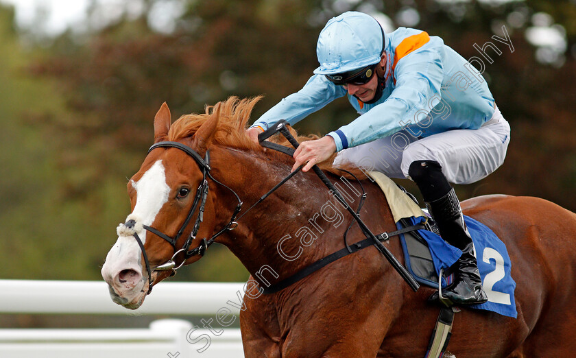 The-Rosstafarian-0009 
 THE ROSSTAFARIAN (James Doyle) wins The PKF Francis Clark British EBF Novice Stakes Div2
Salisbury 1 Oct 2020 - Pic Steven Cargill / Racingfotos.com