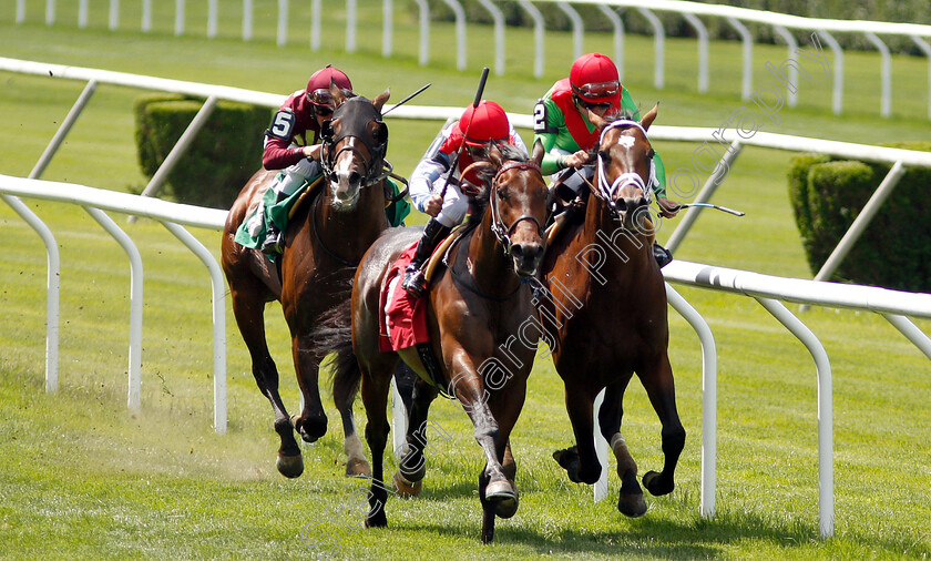 Pillar-Mountain-0001 
 PILLAR MOUNTAIN (right, Joel Rosario) beats HE'S NO LEMON (centre) in Allowance
Belmont Park USA, 6 Jun 2019 - Pic Steven Cargill / Racingfotos.com