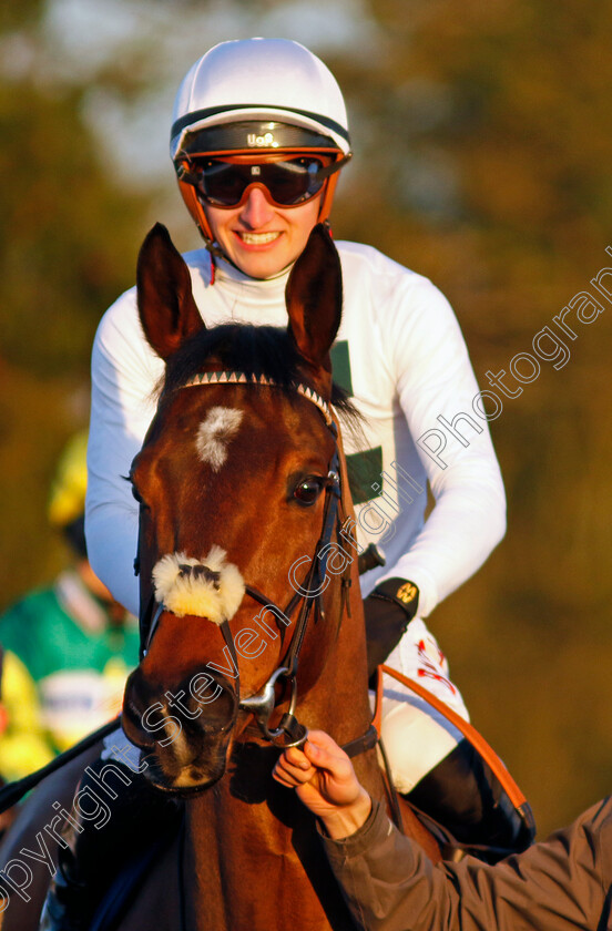 Super-Den-0006 
 SUPER DEN (Tom Marquand) winner of The Spreadex Sports £300 Spread Betting Cashback Handicap
Lingfield 21 Jan 2023 - Pic Steven Cargill / Racingfotos.com