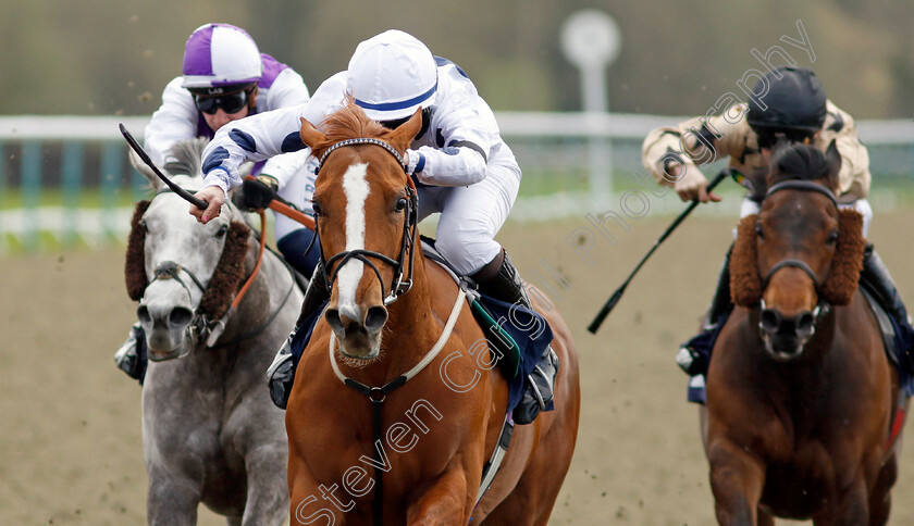 Jungle-Charm-0002 
 JUNGLE CHARM (Laura Coughlan) wins The Download The Raceday Ready App Apprentice Handicap
Lingfield 4 Apr 2024 - Pic Steven Cargill / Racingfotos.com