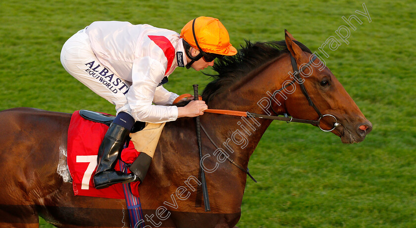 Pondus-0006 
 PONDUS (Oisin Murphy) wins The Watch The #Bettingpeople Videos starsportsbet.co.uk EBF Novice Stakes
Sandown 30 May 2019 - Pic Steven Cargill / Racingfotos.com