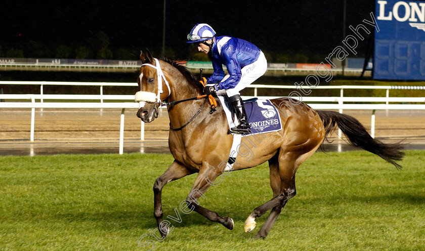 Motafaawit-0001 
 MOTAFAAWIT (Dane O'Neill)
Meydan 27 Jan 2023 - Pic Steven Cargill / Racingfotos.com