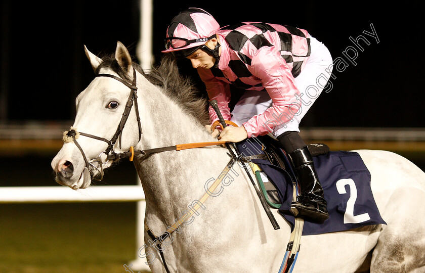 Ulster-0001 
 ULSTER (Edward Greatrex)
Wolverhampton 26 Feb 2019 - Pic Steven Cargill / Racingfotos.com