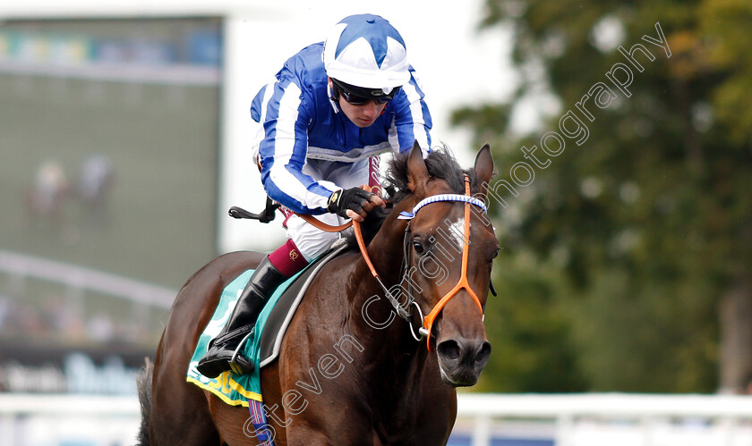 Mystery-Power-0009 
 MYSTERY POWER (Oisin Murphy) wins The bet365 Superlative Stakes
Newmarket 13 Jul 2019 - Pic Steven Cargill / Racingfotos.com