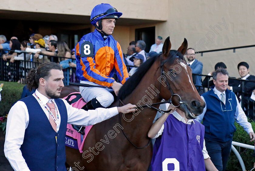 Heavens-Gate-0001 
 HEAVENS GATE (Wayne Lordan)
Del Mar 1 Nov 2024 - Pic Steven Cargill / Racingfotos.com