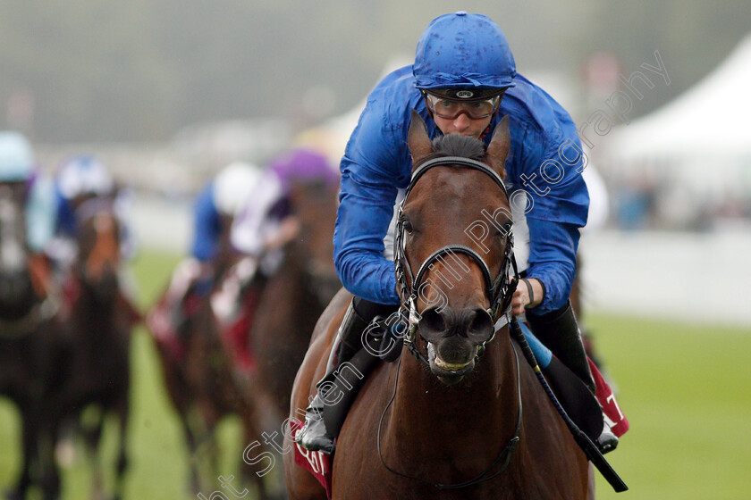 Pinatubo-0007 
 PINATUBO (James Doyle) wins The Qatar Vintage Stakes
Goodwood 30 Jul 2019 - Pic Steven Cargill / Racingfotos.com