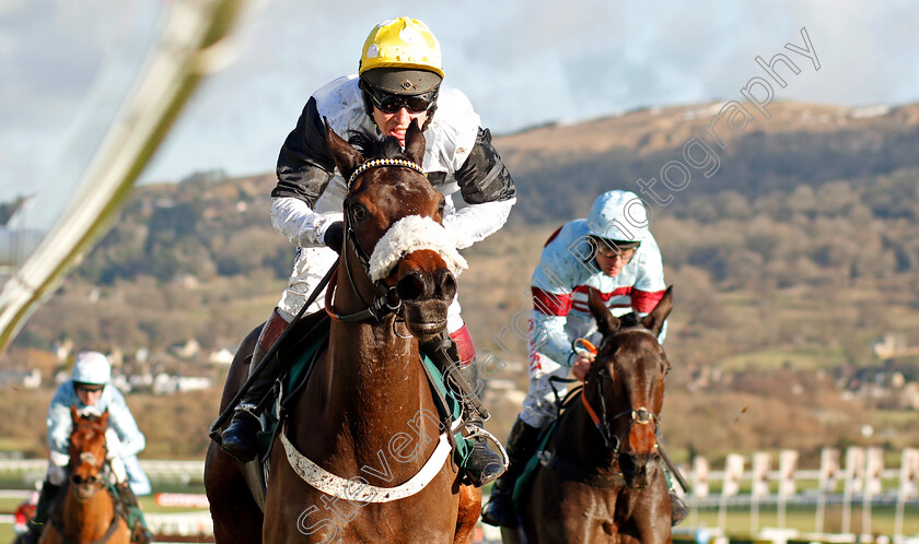 Western-Ryder-0004 
 WESTERN RYDER (Richard Johnson) wins The British Stallion Studs EBF National Hunt Novices Hurdle Cheltenham 15 Dec 2017 - Pic Steven Cargill / Racingfotos.com