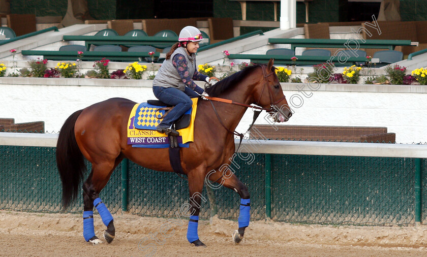 West-Coast-0001 
 WEST COAST exercising ahead of The Breeders' Cup Classic
Churchill Downs USA 31 Oct 2018 - Pic Steven Cargill / Racingfotos.com