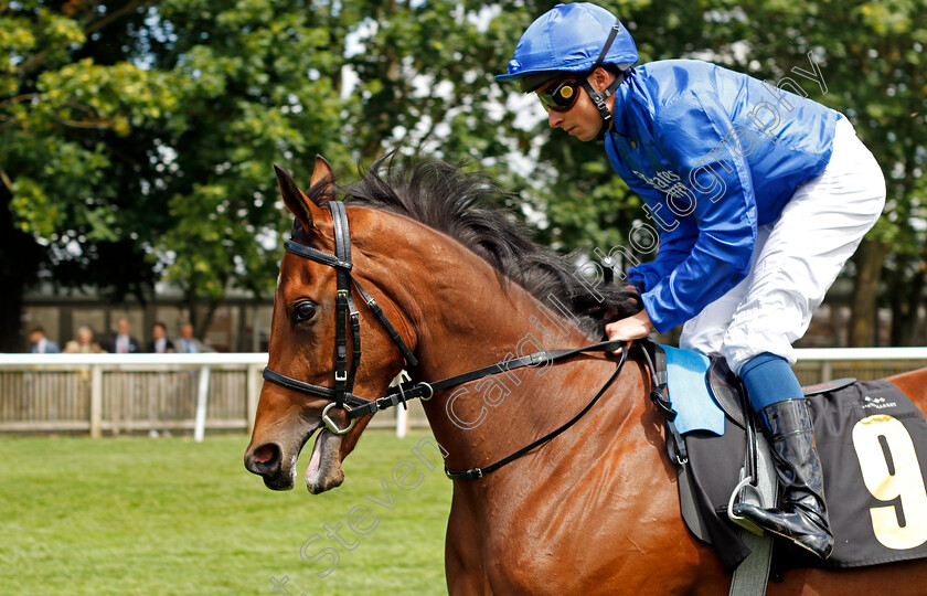 Race-The-Wind-0006 
 RACE THE WIND (William Buick) winner of The Rossdales British EBF Maiden Fillies Stakes
Newmarket 15 Jul 2023 - Pic Steven Cargill / Racingfotos.com