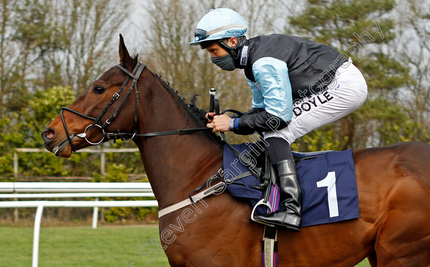 Mount-Mayon-0002 
 MOUNT MAYON (Sean Levey)
Lingfield 19 Feb 2021 - Pic Steven Cargill / Racingfotos.com