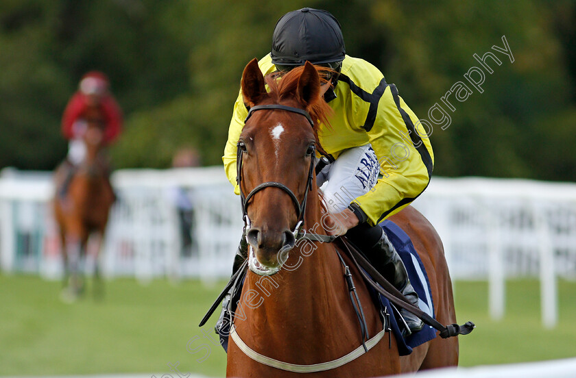 Sixntwothrees-0001 
 SIXNTWOTHREES (Tom Marquand)
Lingfield 26 Aug 2020 - Pic Steven Cargill / Racingfotos.com