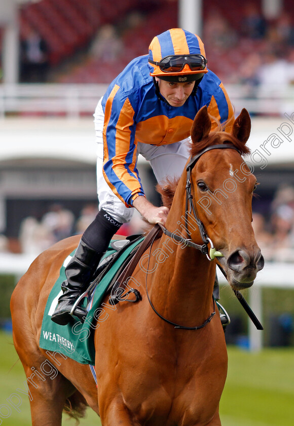 Port-Fairy-0002 
 PORT FAIRY (Ryan Moore)
Chester 8 May 2024 - Pic Steven Cargill / Racingfotos.com