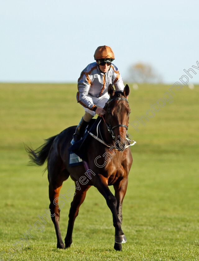 Togai 
 TOGAI (Joe Fanning)
Newmarket 20 Oct 2021 - Pic Steven Cargill / Racingfotos.com