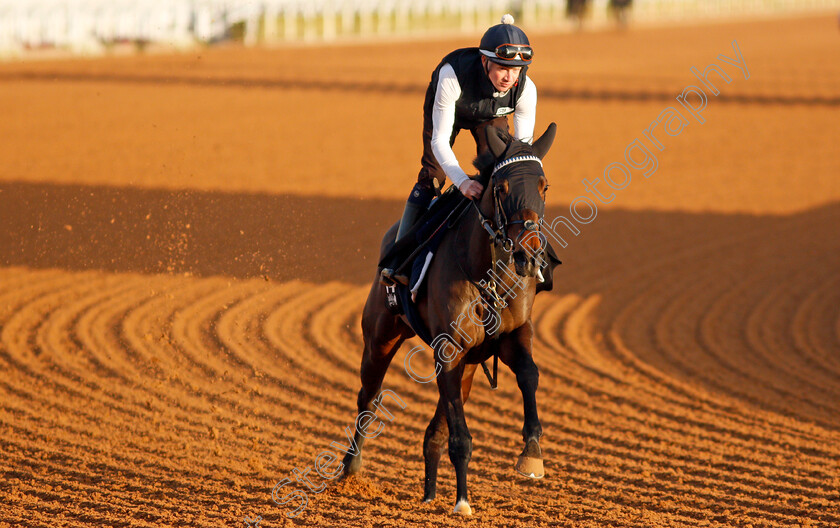 Oscula-0002 
 OSCULA training for The Saudi Derby
King Abdulaziz Racetrack, Riyadh, Saudi Arabia 23 Feb 2022 - Pic Steven Cargill / Racingfotos.com