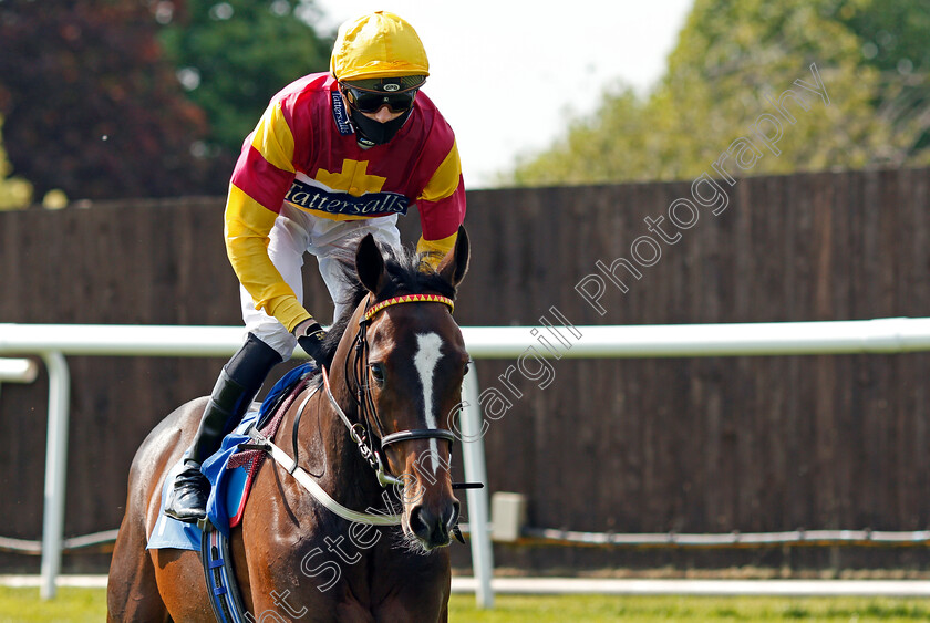 The-Thunderer-0002 
 THE THUNDERER (James Doyle)
Leicester 1 Jun 2021 - Pic Steven Cargill / Racingfotos.com