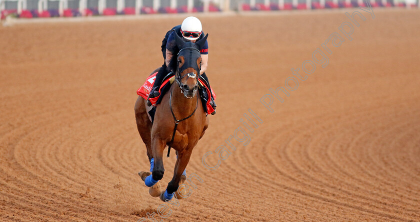 Trawlerman-0003 
 TRAWLERMAN training for The Red Sea Turf Handicap
King Abdulaziz Racecourse, Kingdom of Saudi Arabia, 22 Feb 2023 - Pic Steven Cargill / Racingfotos.com