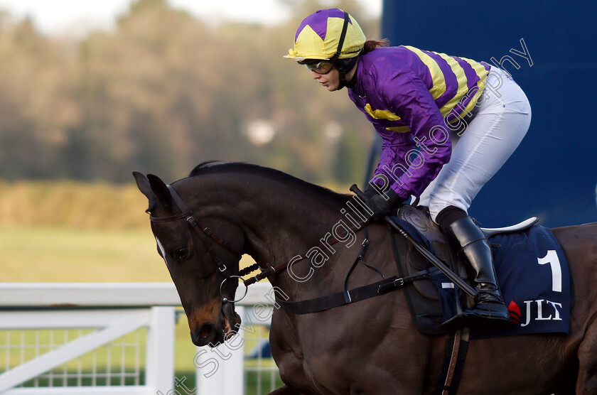 Agrapart-0001 
 AGRAPART (Lizzie Kelly)
Ascot 22 Dec 2018 - Pic Steven Cargill / Racingfotos.com