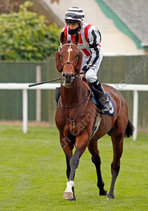 Glen-Force-0002 
 GLEN FORCE (Luke Morris)
Yarmouth 16 Sep 2020 - Pic Steven Cargill / Racingfotos.com