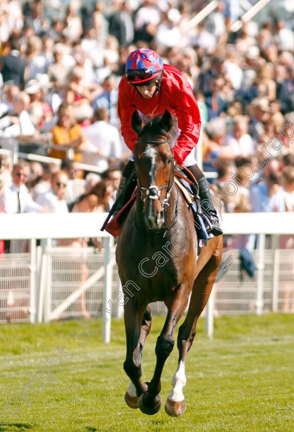 Mekong-0001 
 MEKONG (Ryan Moore)
York 24 Aug 2019 - Pic Steven Cargill / Racingfotos.com