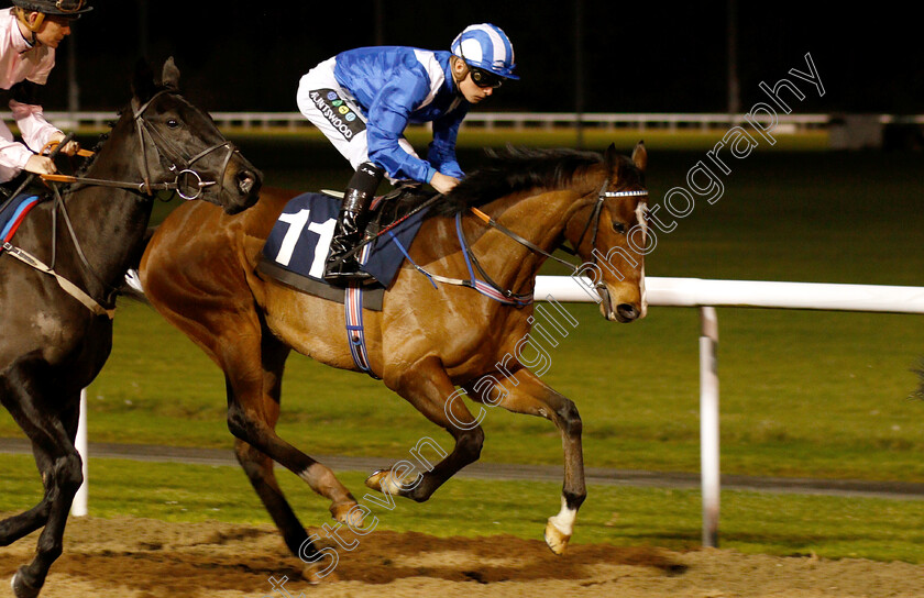 Thakaa-0001 
 THAKAA (Jason Watson)
Wolverhampton 10 Dec 2018 - Pic Steven Cargill / Racingfotos.com