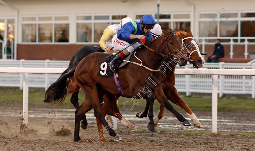 Silvestris-0004 
 SILVESTRIS (Franny Norton) wins The EBF Novice Auction Stakes
Chelmsford 22 Oct 2020 - Pic Steven Cargill / Racingfotos.com