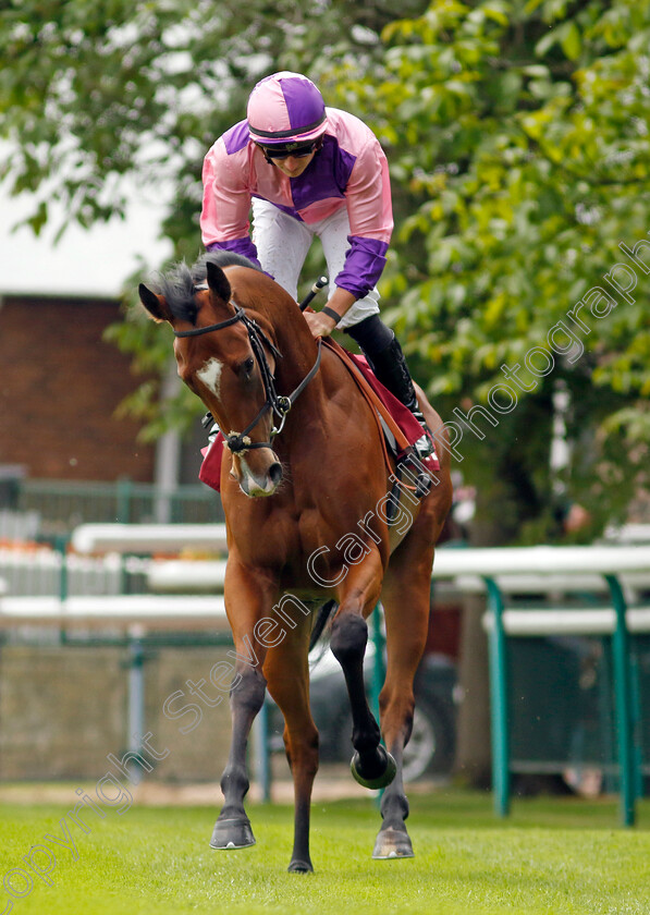 Vertiginous-0001 
 VERTIGINOUS (Tom Marquand)
Haydock 21 May 2022 - Pic Steven Cargill / Racingfotos.com