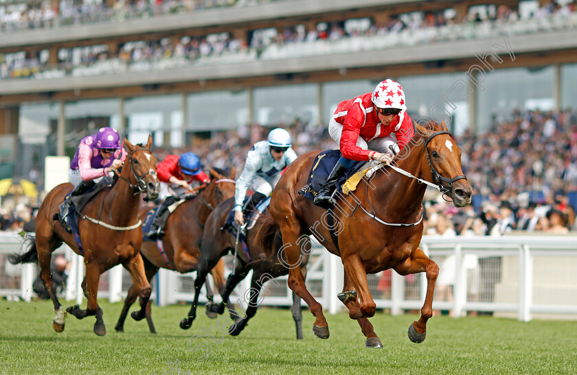 Saffron-Beach-0003 
 SAFFRON BEACH (William Buick) wins The Duke Of Cambridge Stakes
Royal Ascot 15 Jun 2022 - Pic Steven Cargill / Racingfotos.com