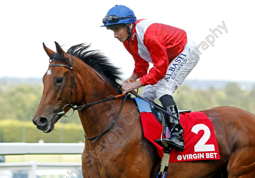 Potapova-0001 
 POTAPOVA (Ryan Moore)
Sandown 2 Sep 2023 - Pic Steven Cargill / Racingfotos.com