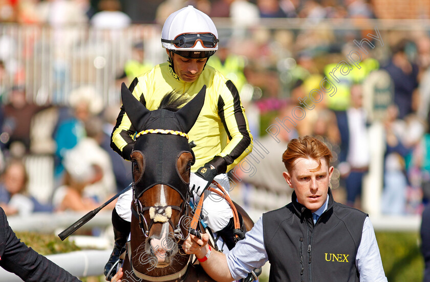 Burdett-Road-0001 
 BURDETT ROAD (Silvestre de Sousa)
York 24 Aug 2024 - Pic Steven Cargill / Racingfotos.com