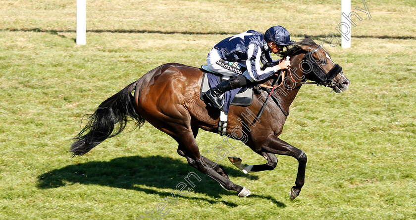 Starboy-0005 
 STARBOY (Jason Watson) wins The mintbet.com Best Odds Guaranteed Singles & Multiples Handicap
Brighton 3 Jul 2018 - Pic Steven Cargill / Racingfotos.com