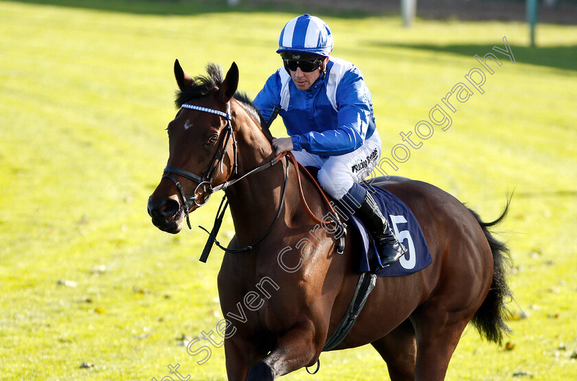 Maqsad-0001 
 MAQSAD (Jim Crowley)
Yarmouth 23 Oct 2018 - Pic Steven Cargill / Racingfotos.com