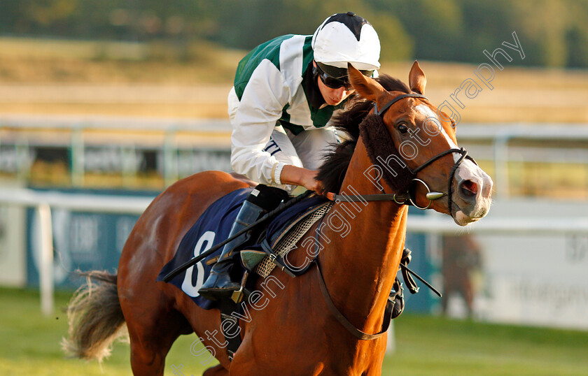 Gordonstoun-0005 
 GORDONSTOUN (Luke Morris) wins The Betway Nursery
Lingfield 26 Aug 2020 - Pic Steven Cargill / Racingfotos.com